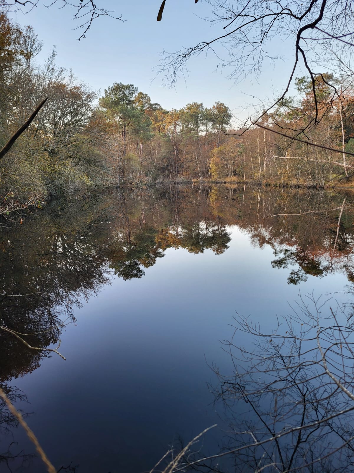 Étang en automne